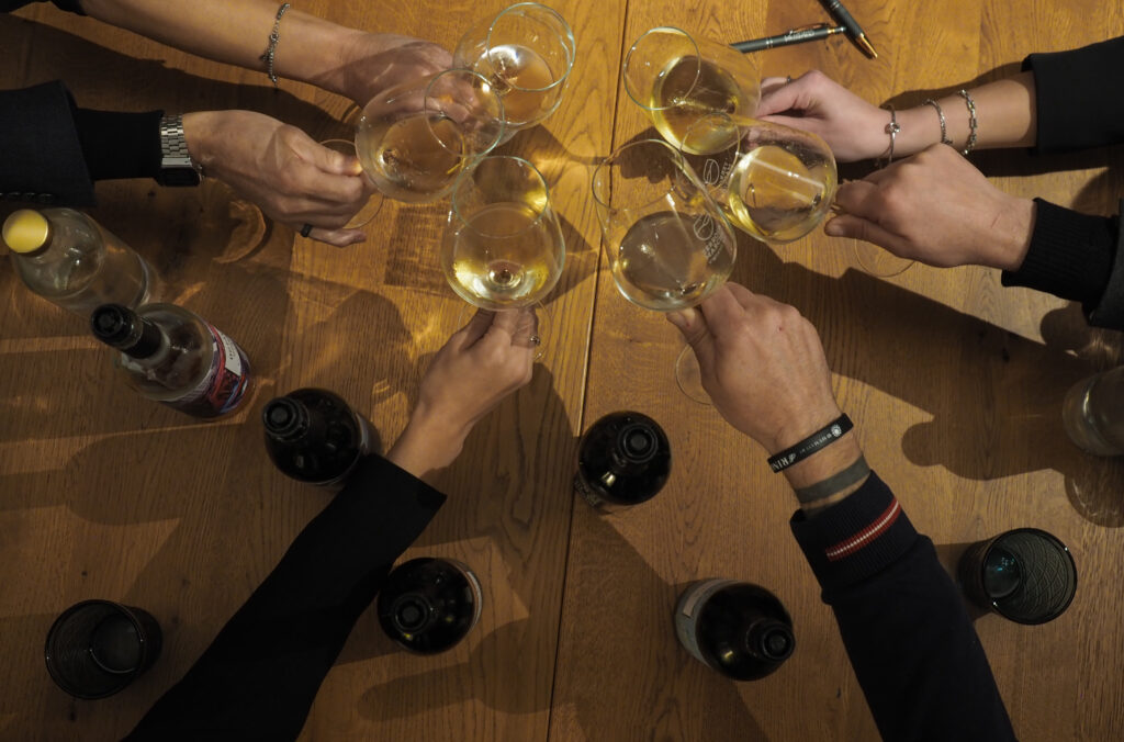 degustazione vino in cantina nel Piceno